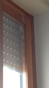 Spiderma uno. Il secondo non ho avuto il coraggio..