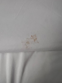 Stained sheet