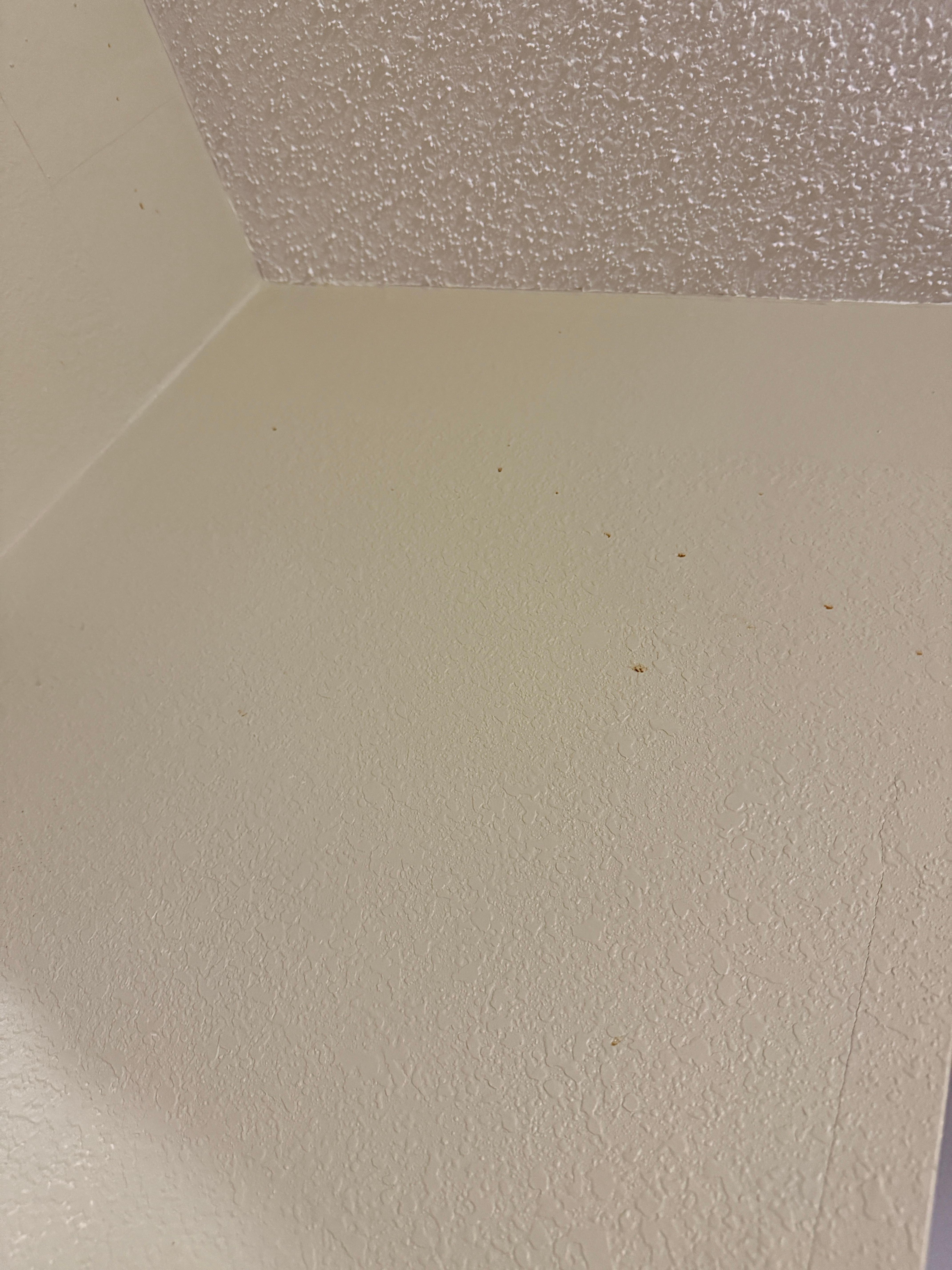 Stained splatters on the walls of an unknown substance