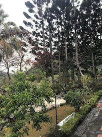 庭院一角