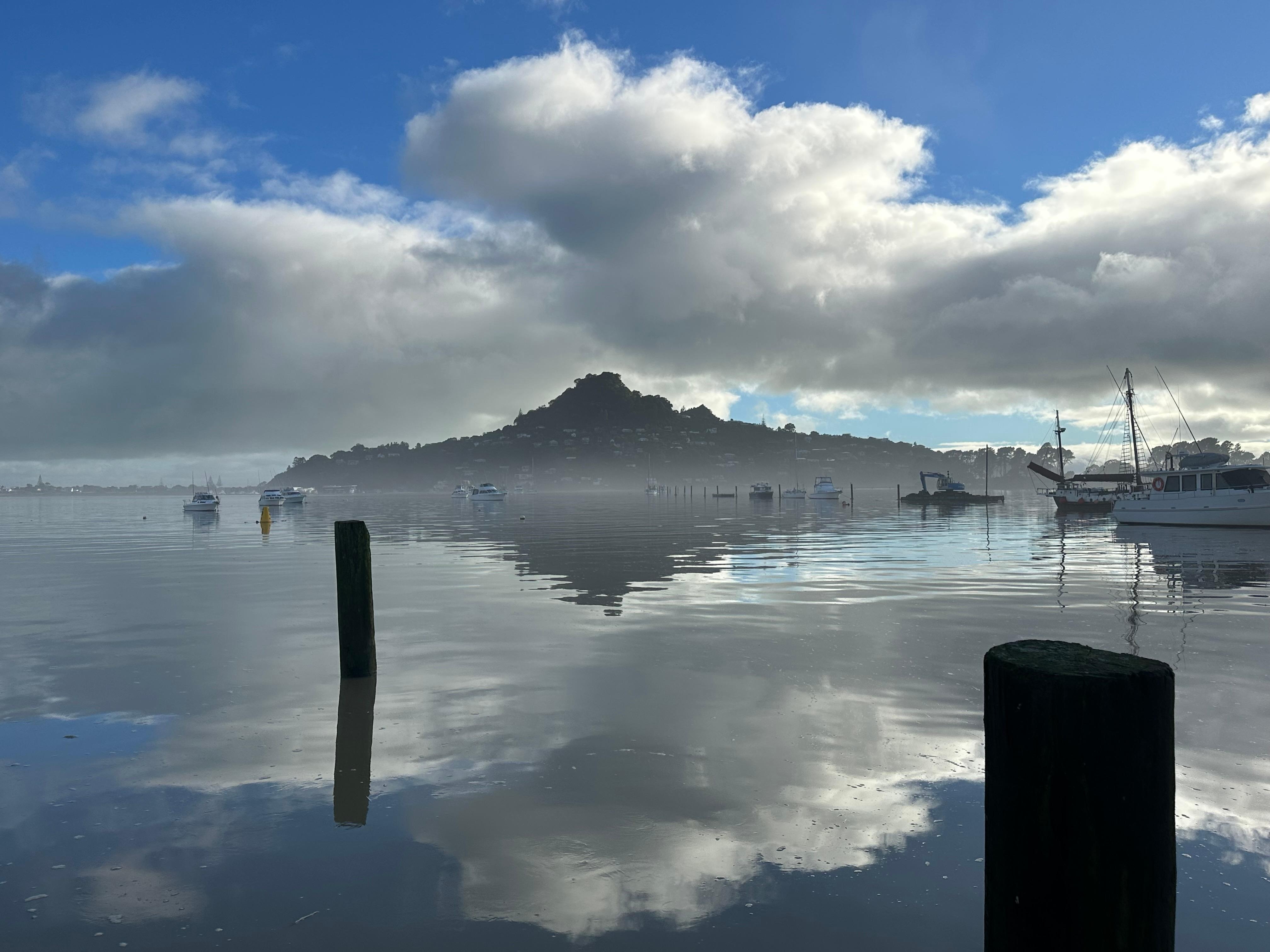 Harbour in the morning.