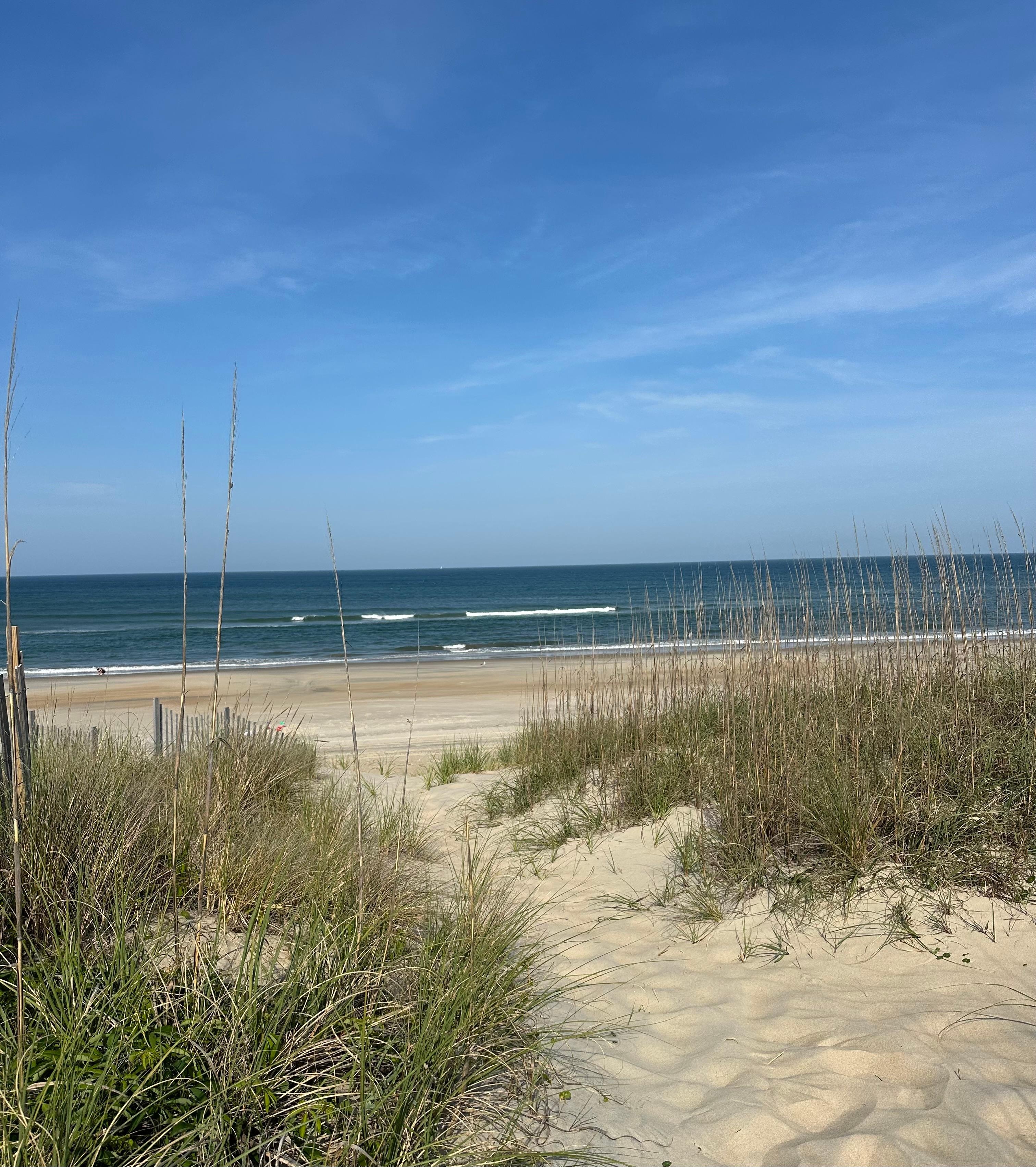 View from path to beach.