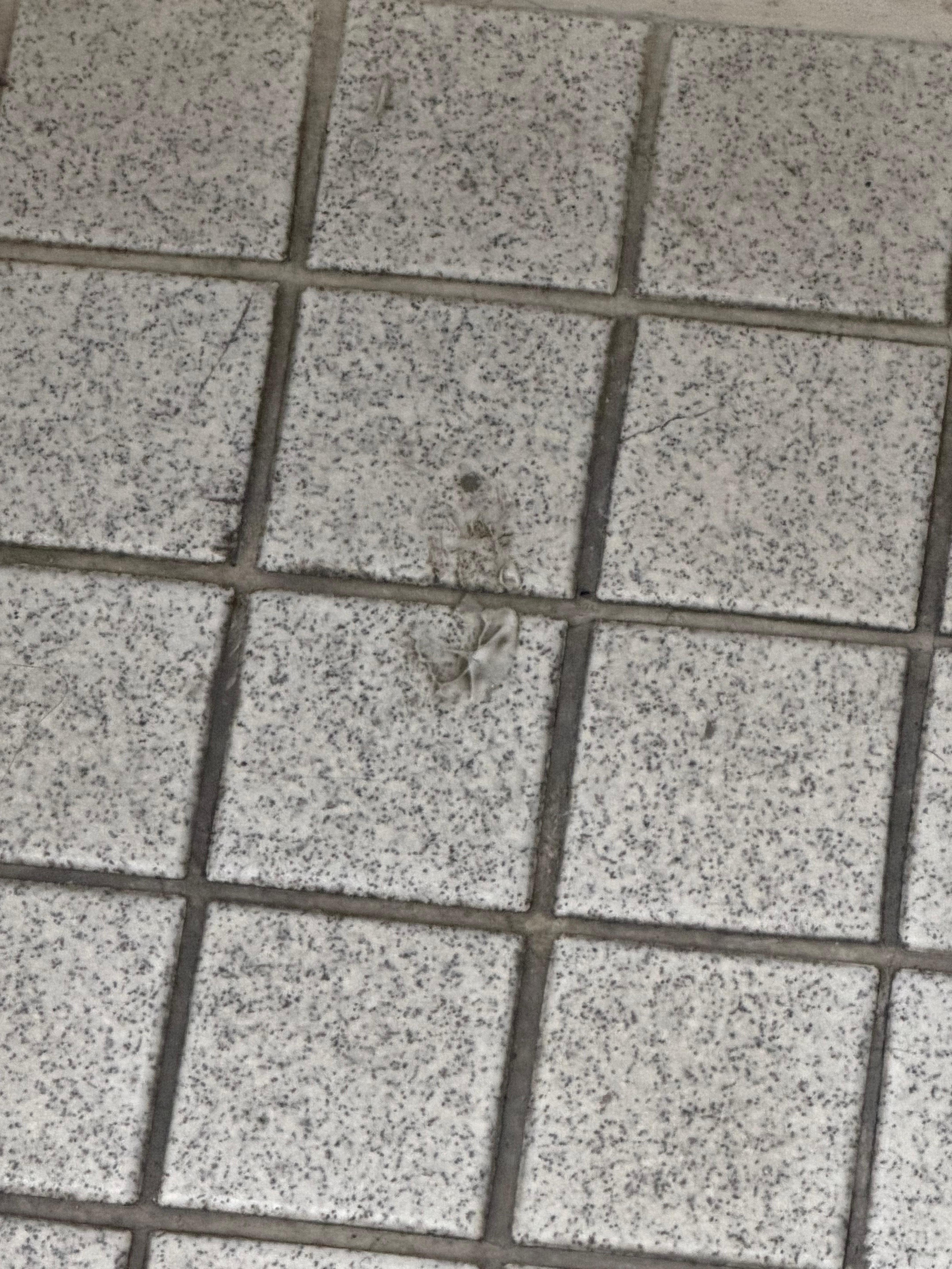 Dirty bathroom floor
