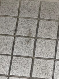 Dirty bathroom floor