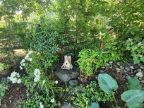 Fairy garden vibes