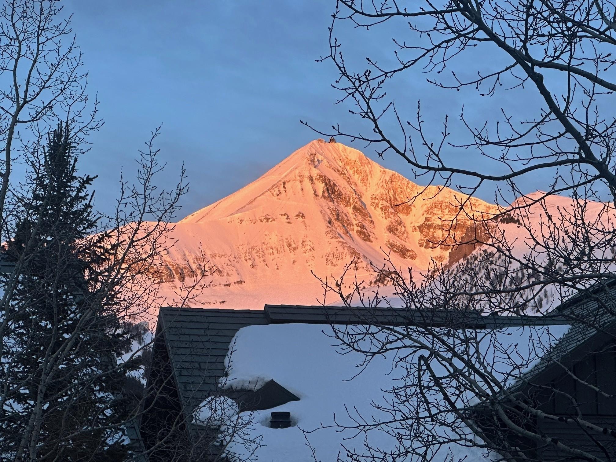 View from kitchen window