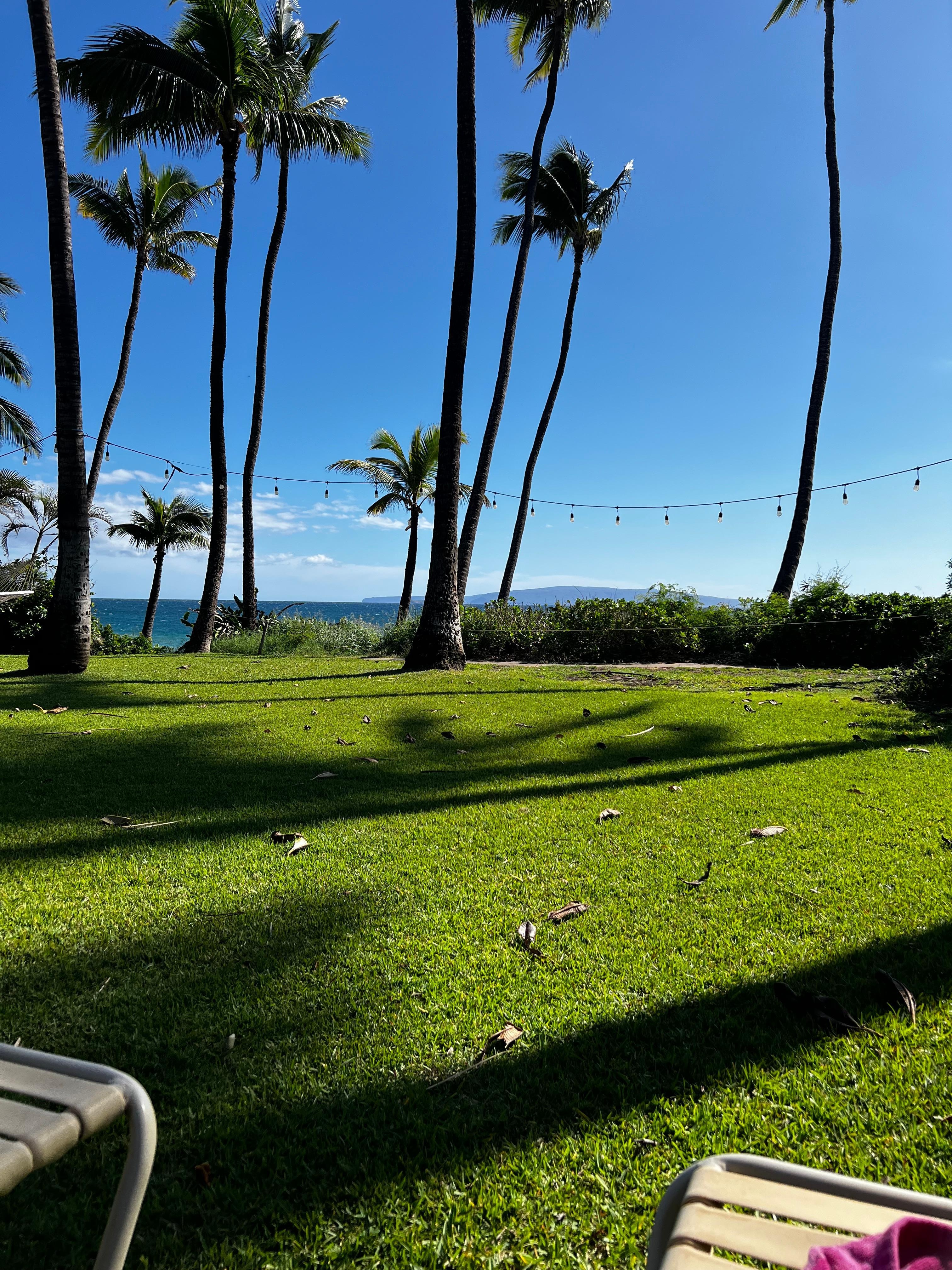 I could sit here all day, everyday. 