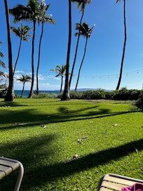 I could sit here all day, everyday.