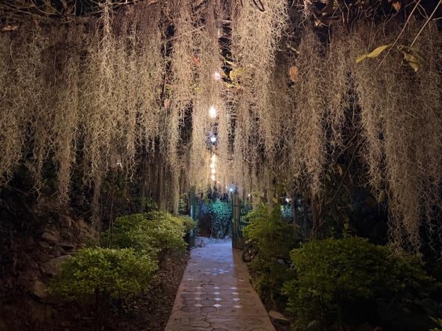 Path along shore towards town