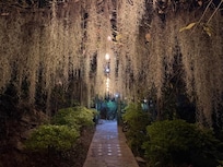 Path along shore towards town