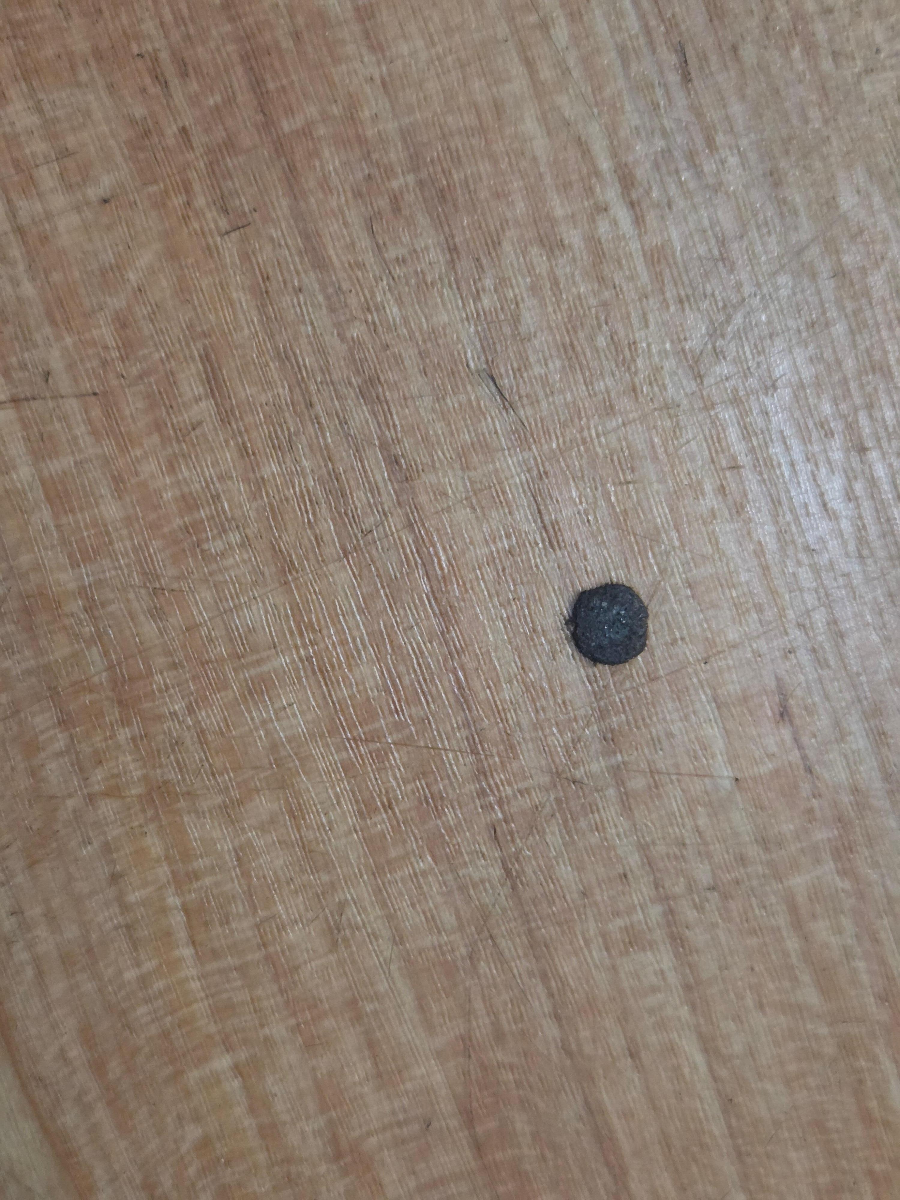 I wiped  some of these spots  up with a towel. 