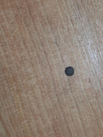 I wiped some of these spots up with a towel.