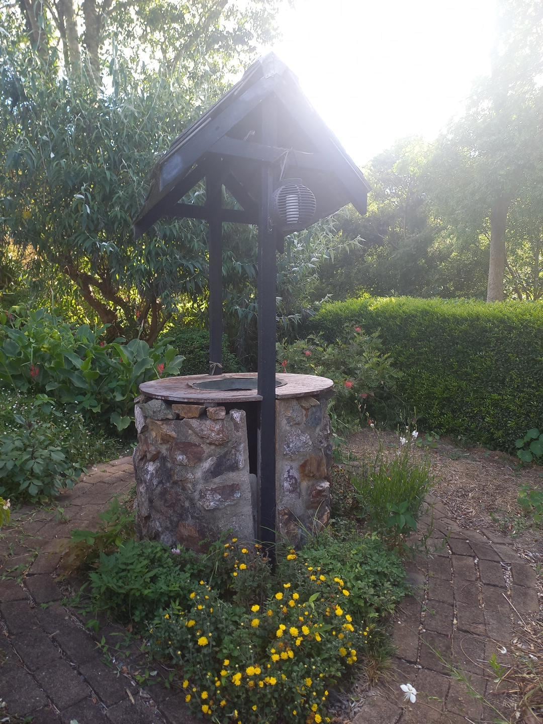 Wishing well brings back memories of my younger years