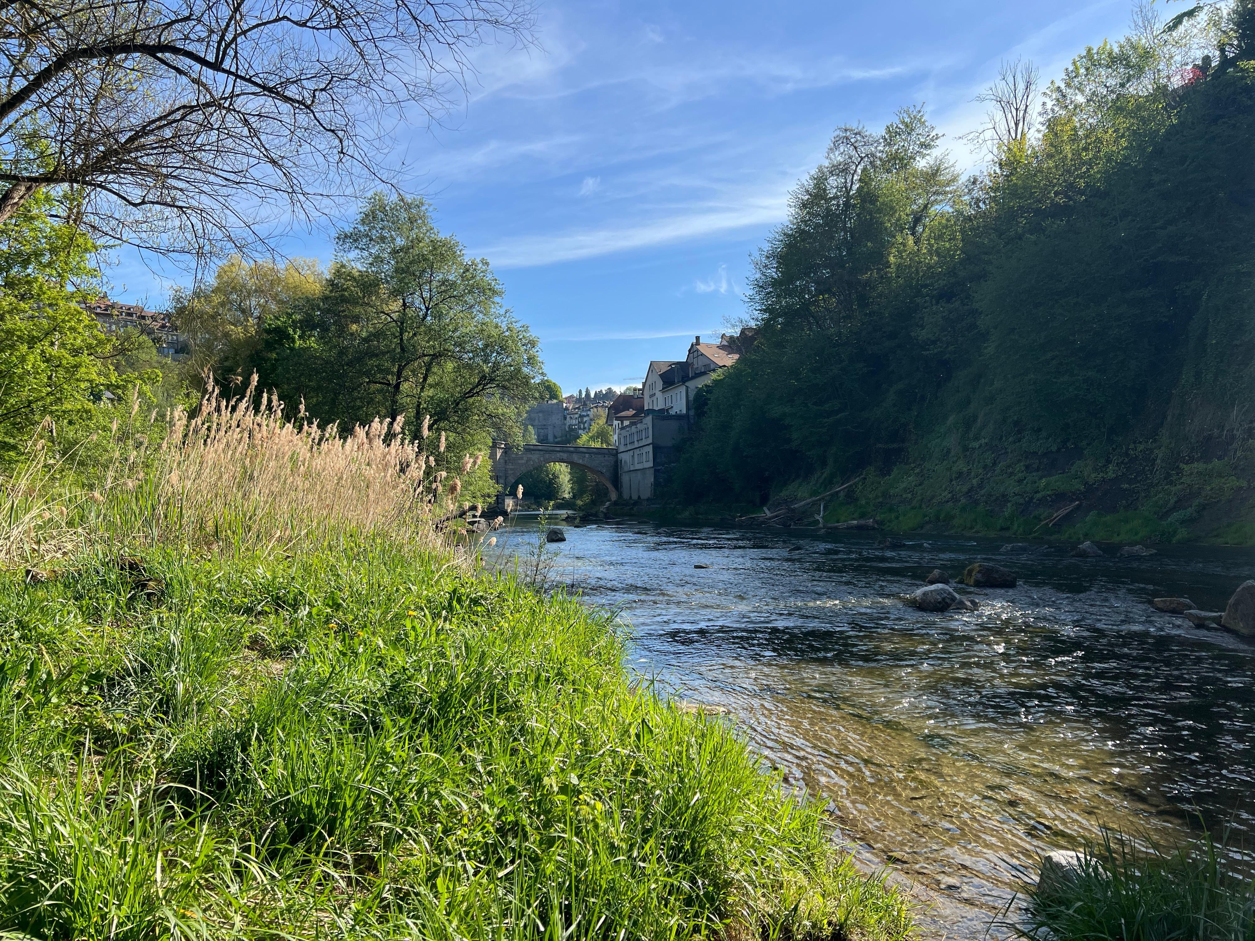 Hotel is close to the river.