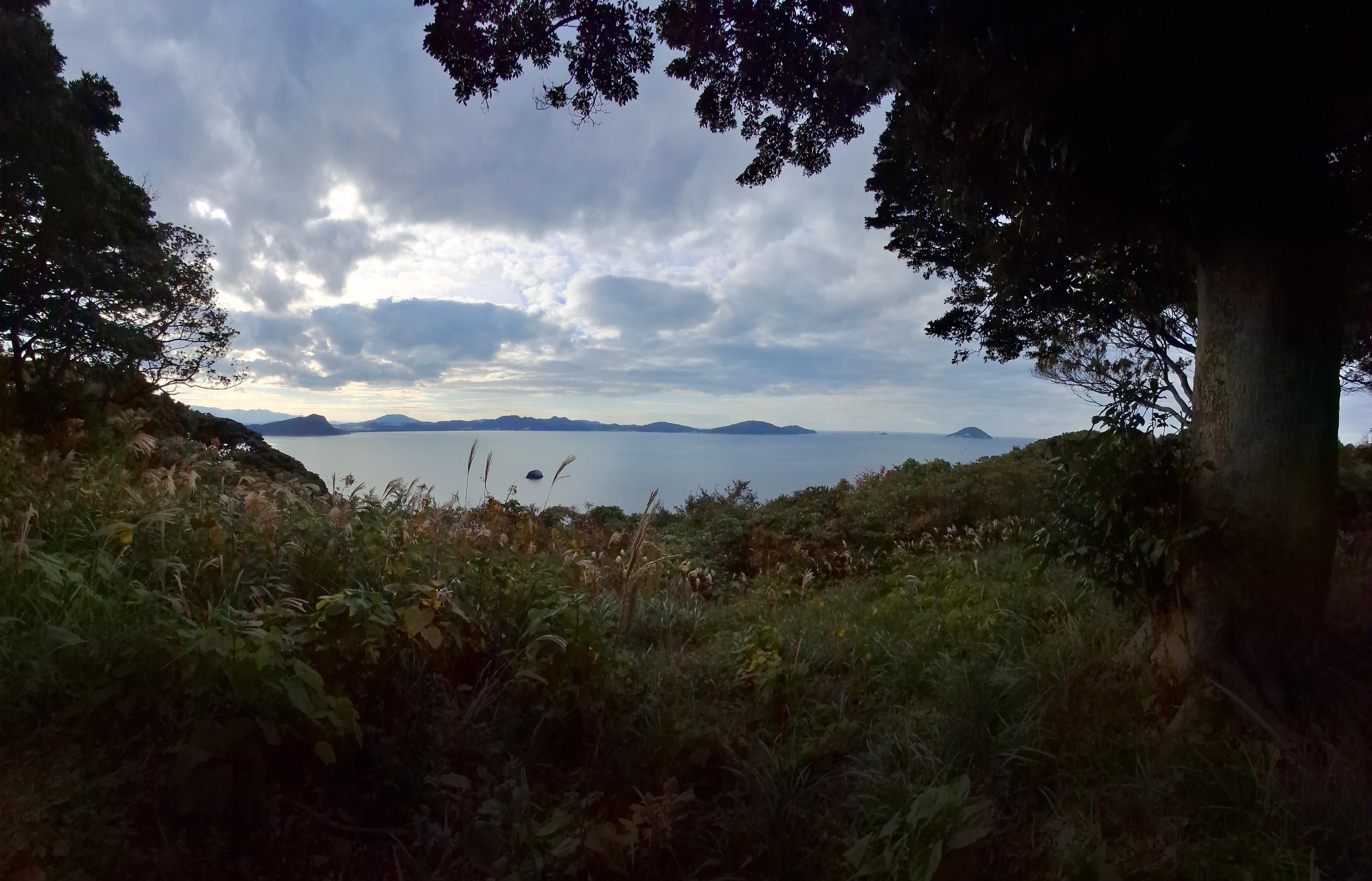 Oceanview from the park