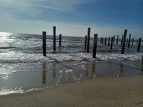 Petten Strand