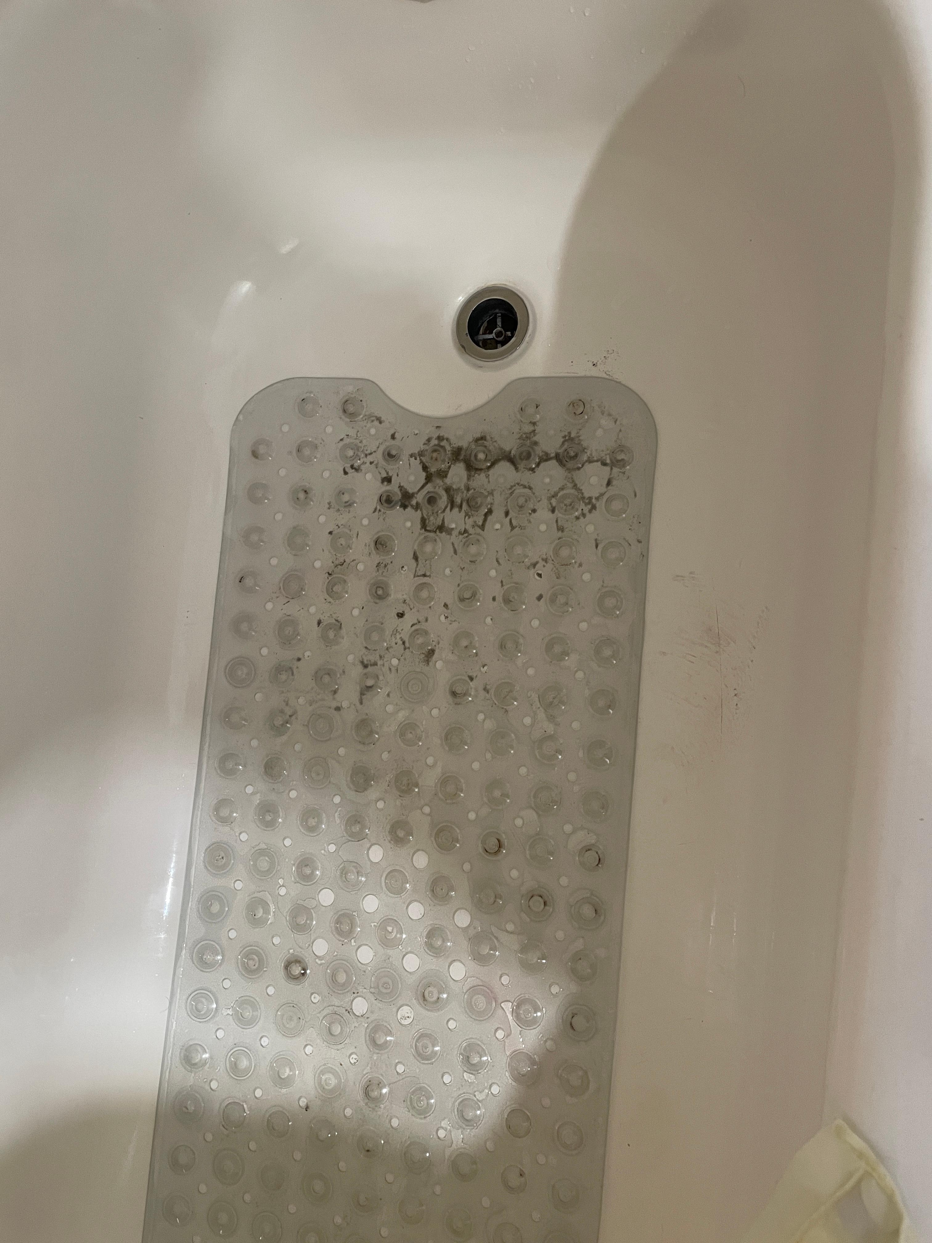 Mold