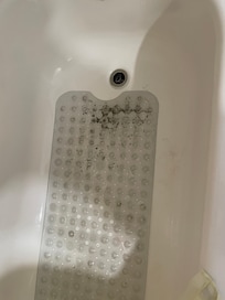 Mold