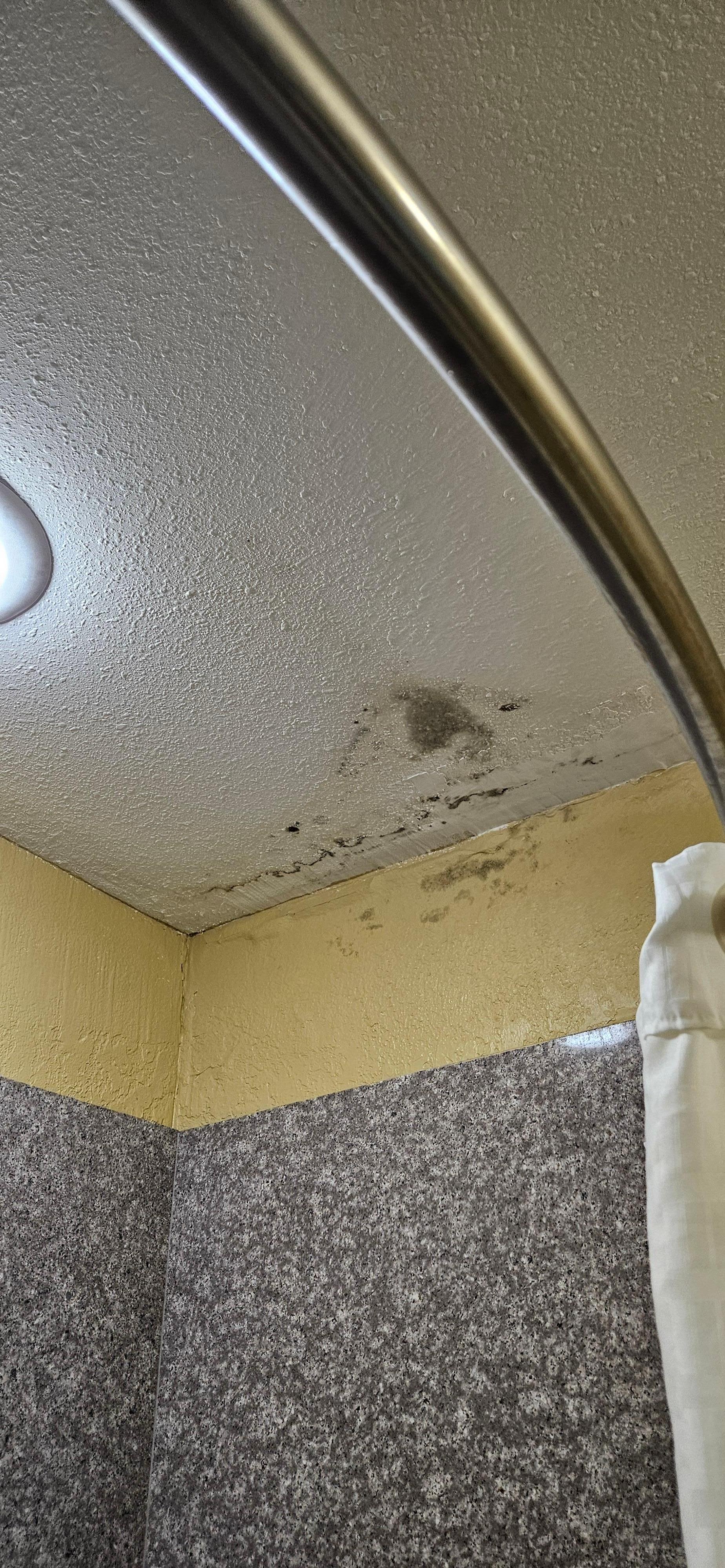 Mold on bathroom ceiling. 