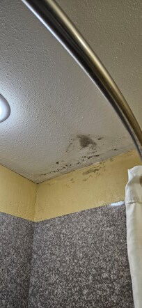 Mold on bathroom ceiling.