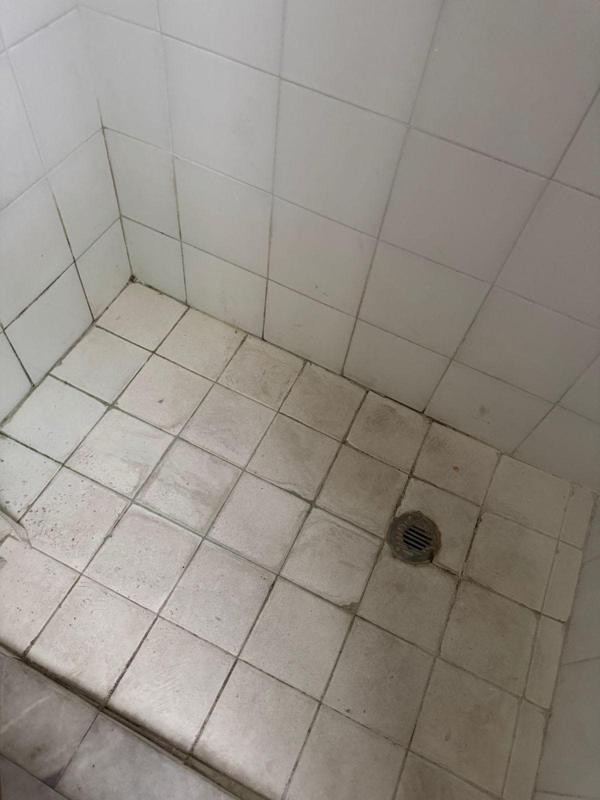 Hongos en todo el baño