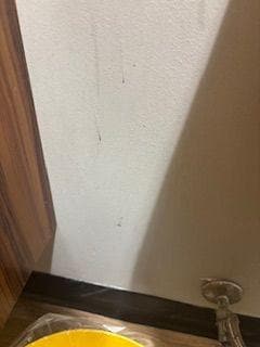 dirt all over the walls in the bathroom