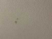 Molding ceiling