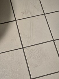 Not sure what all the black stuff was