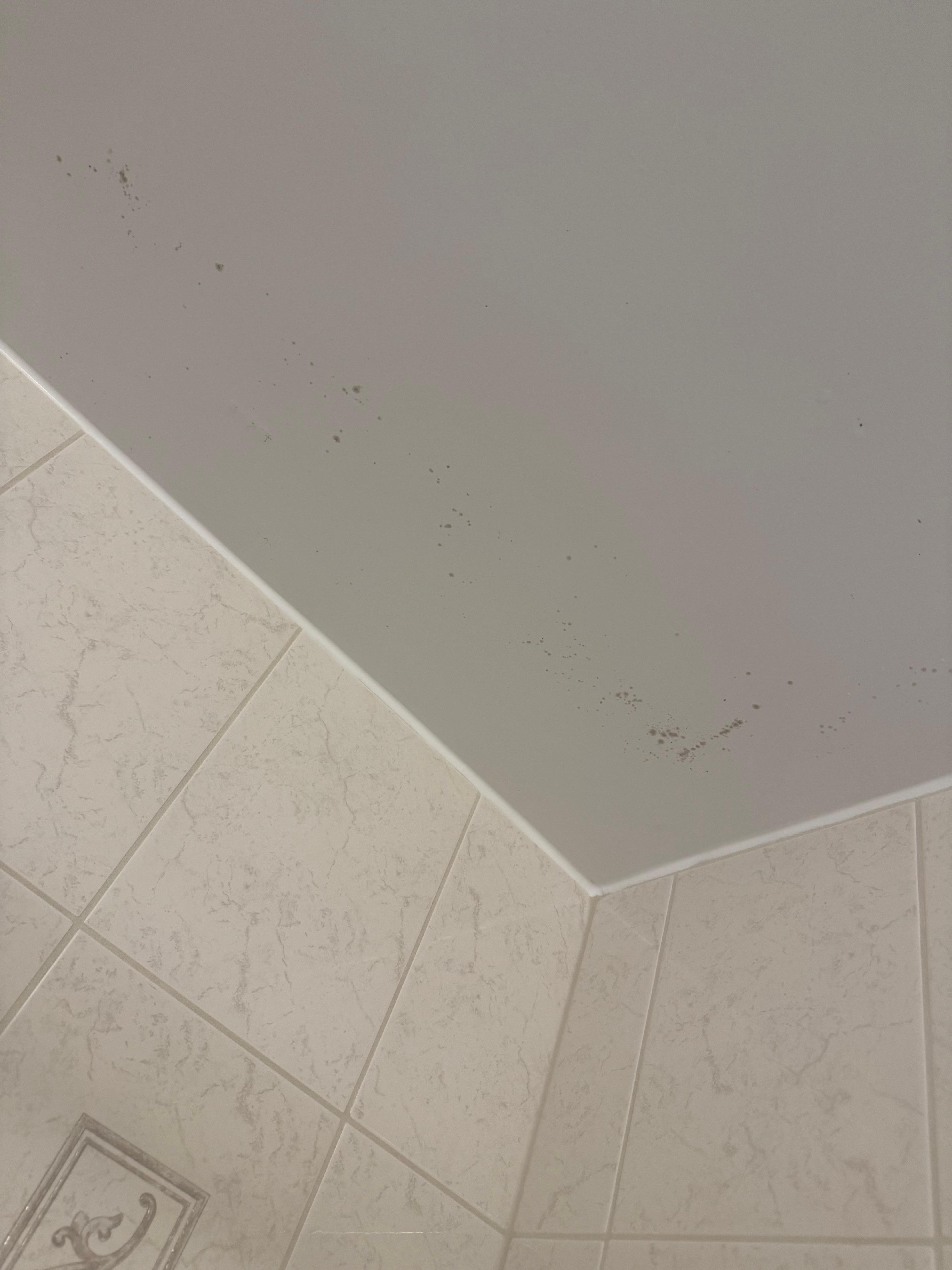 Mould in Shower