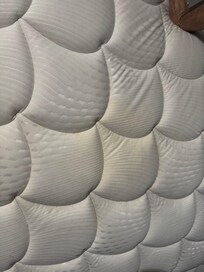 Pee marks or something