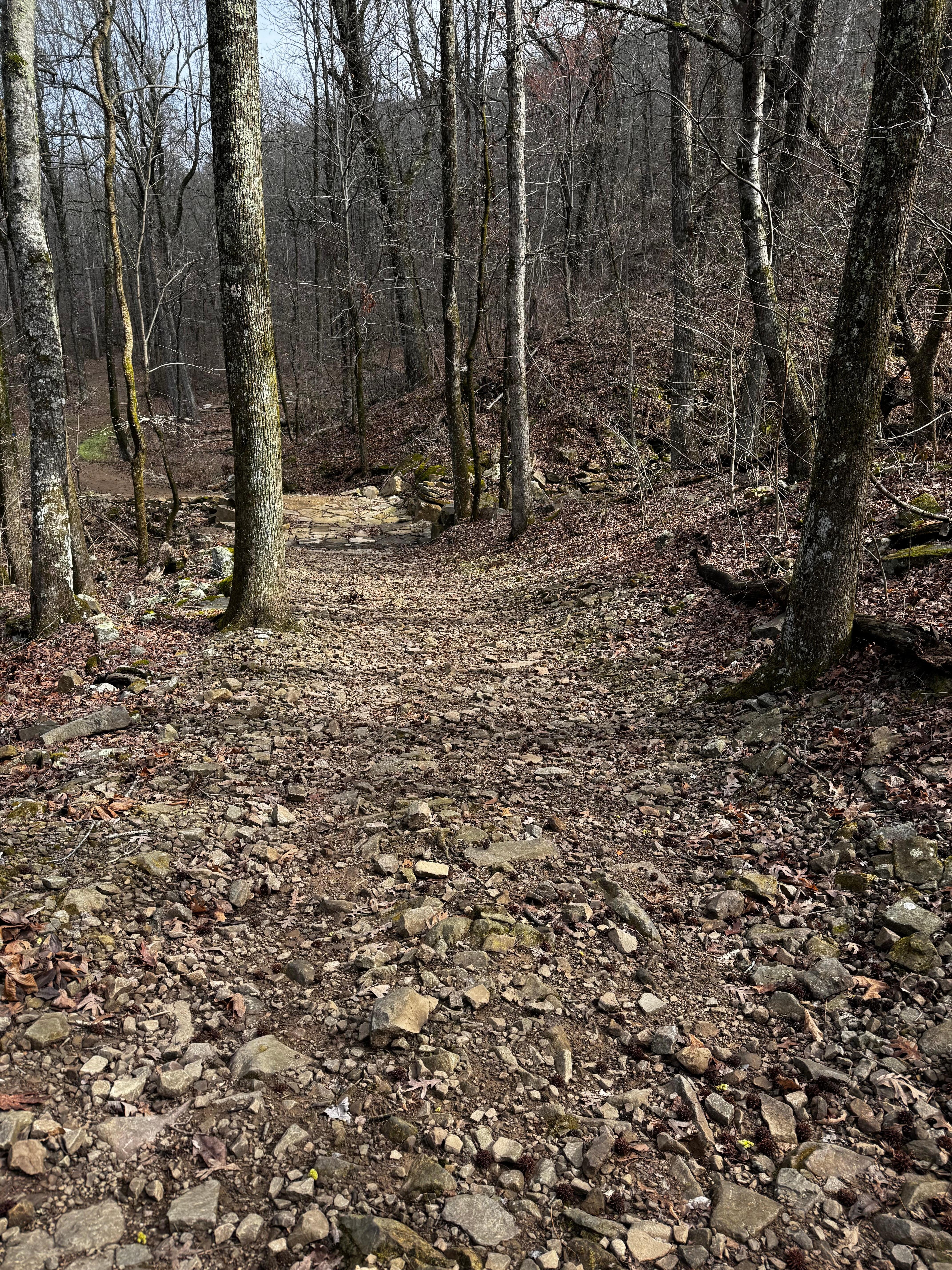 Mount Nebo, hiking trail