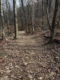 Mount Nebo, hiking trail