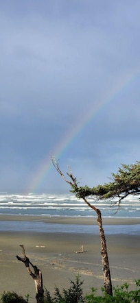 Beautiful Rainbow from the Porch