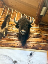 Bison?