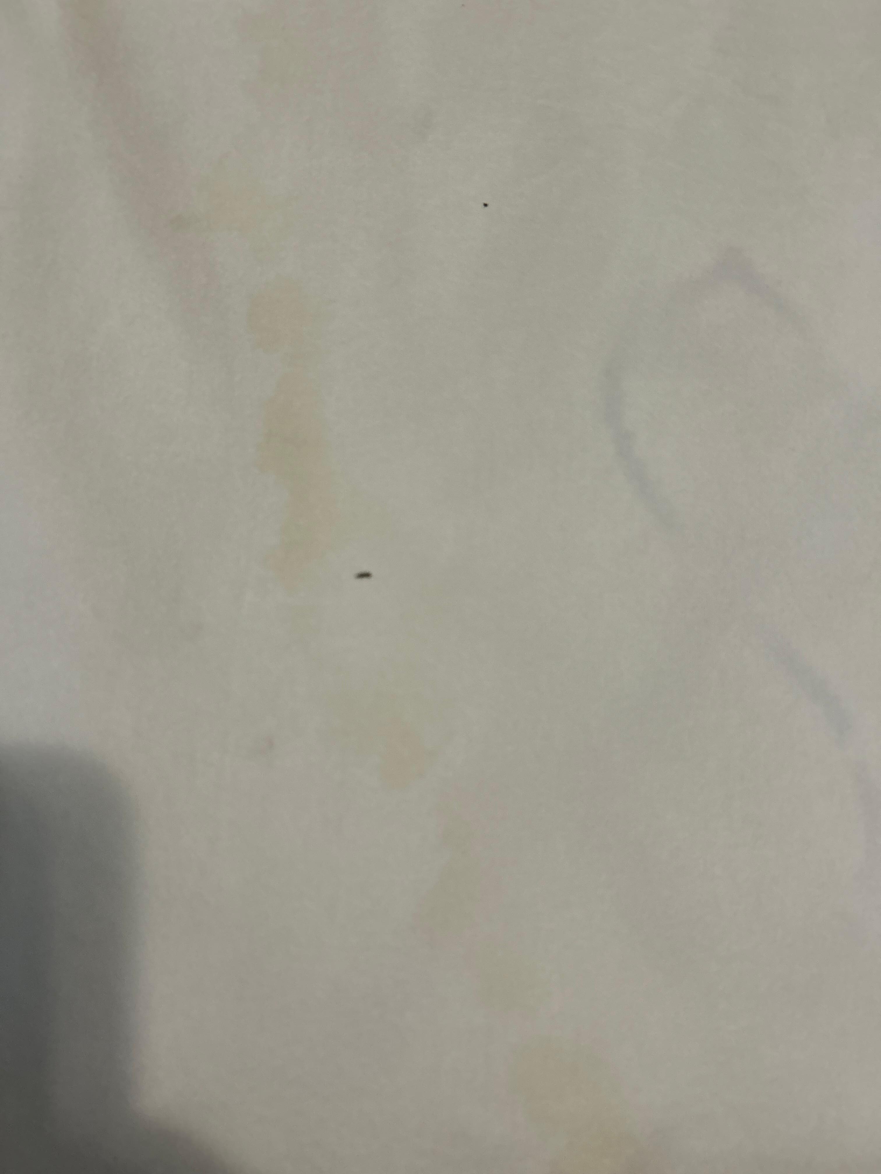 Dirty sheets 