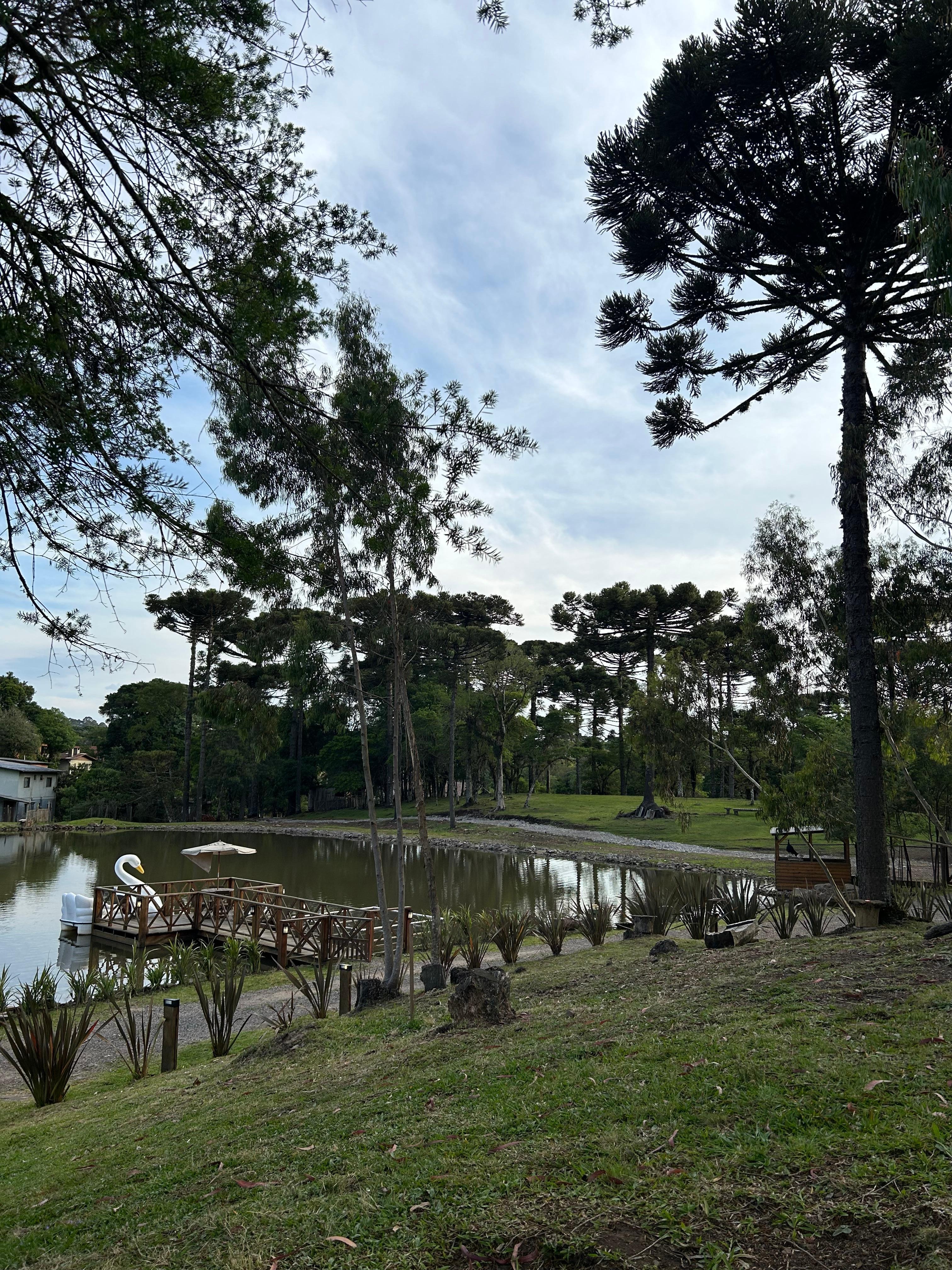 Espaco Tranquilo e Agradável 