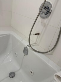 The shower was more like a roman bath