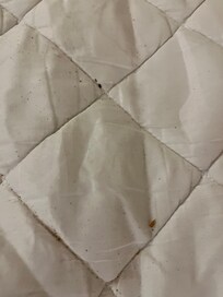 Dirt / Debris on pullout bed