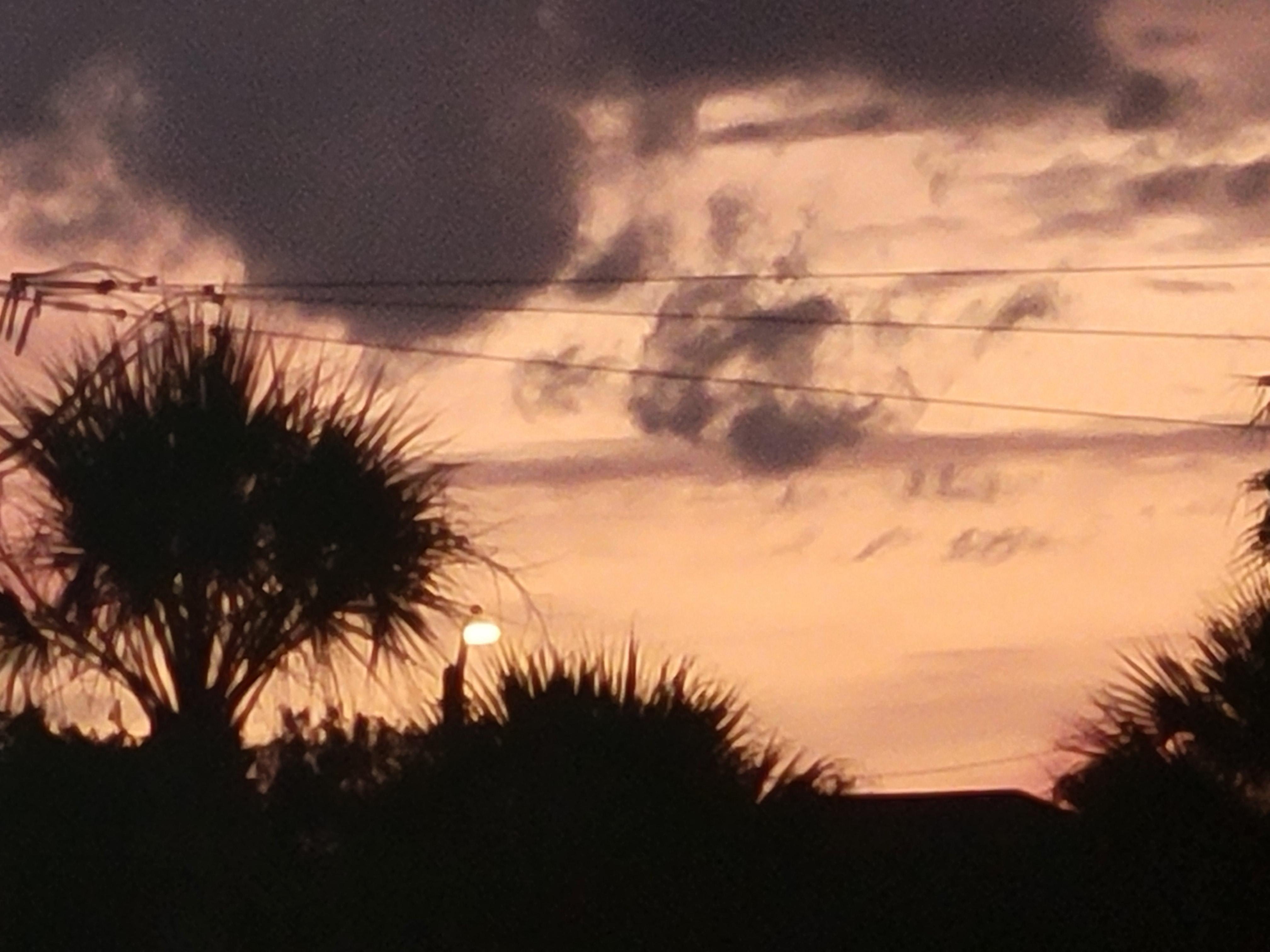 Sunset looking west from the Guy Harvey
