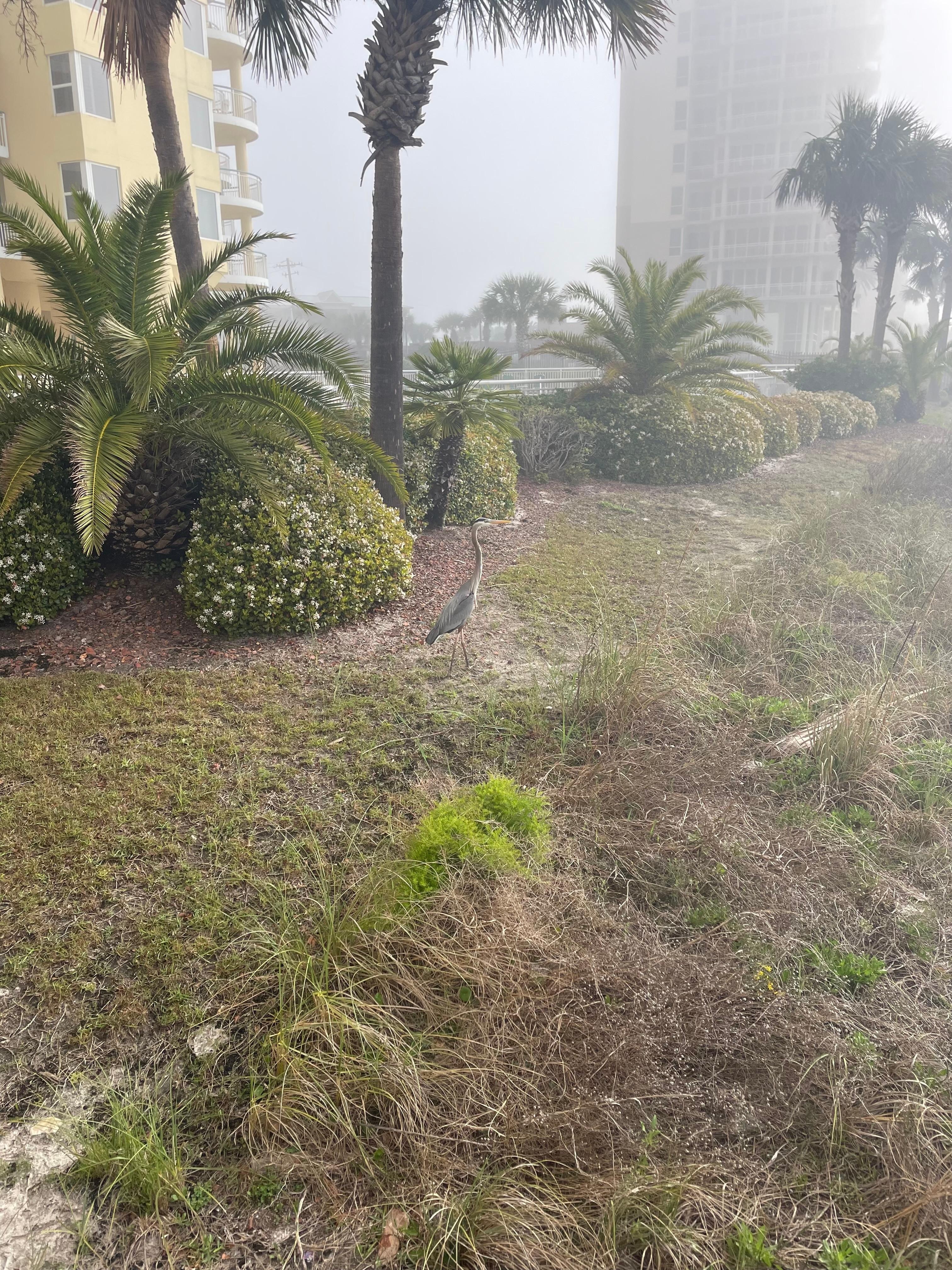 Beautiful wildlife on site