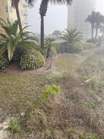 Beautiful wildlife on site