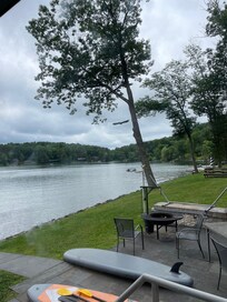 We got to see Eddie, the resident bald eagle