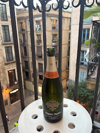 View from our balcony with some Cava. Cheers
