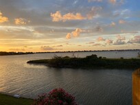 Such beautiful views🏝️🌊and SO MANY birds!