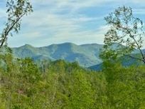 Mountain views