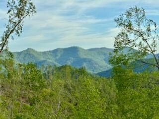 Mountain views