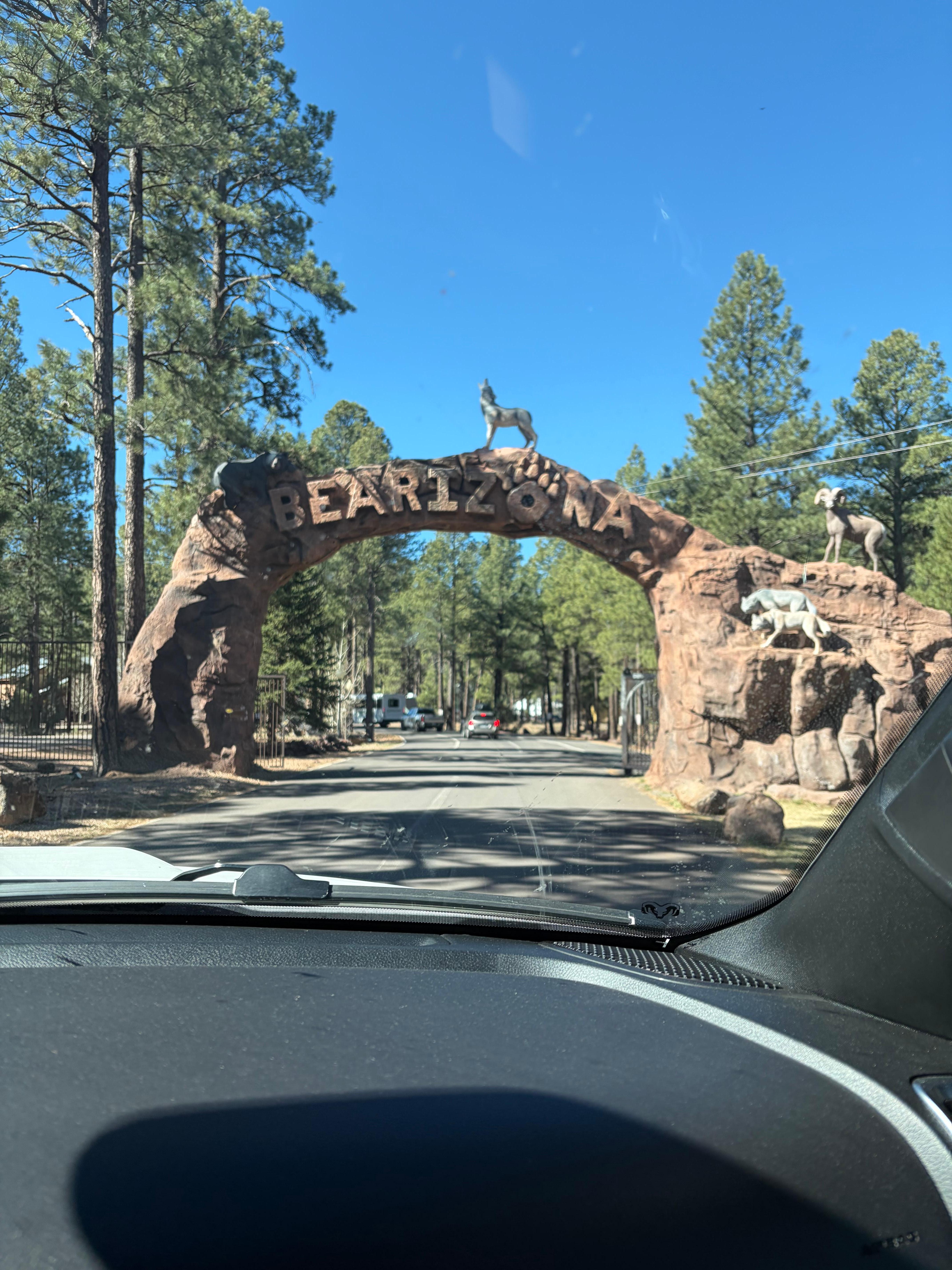 Loved Bearizona, so close to the hotel. 