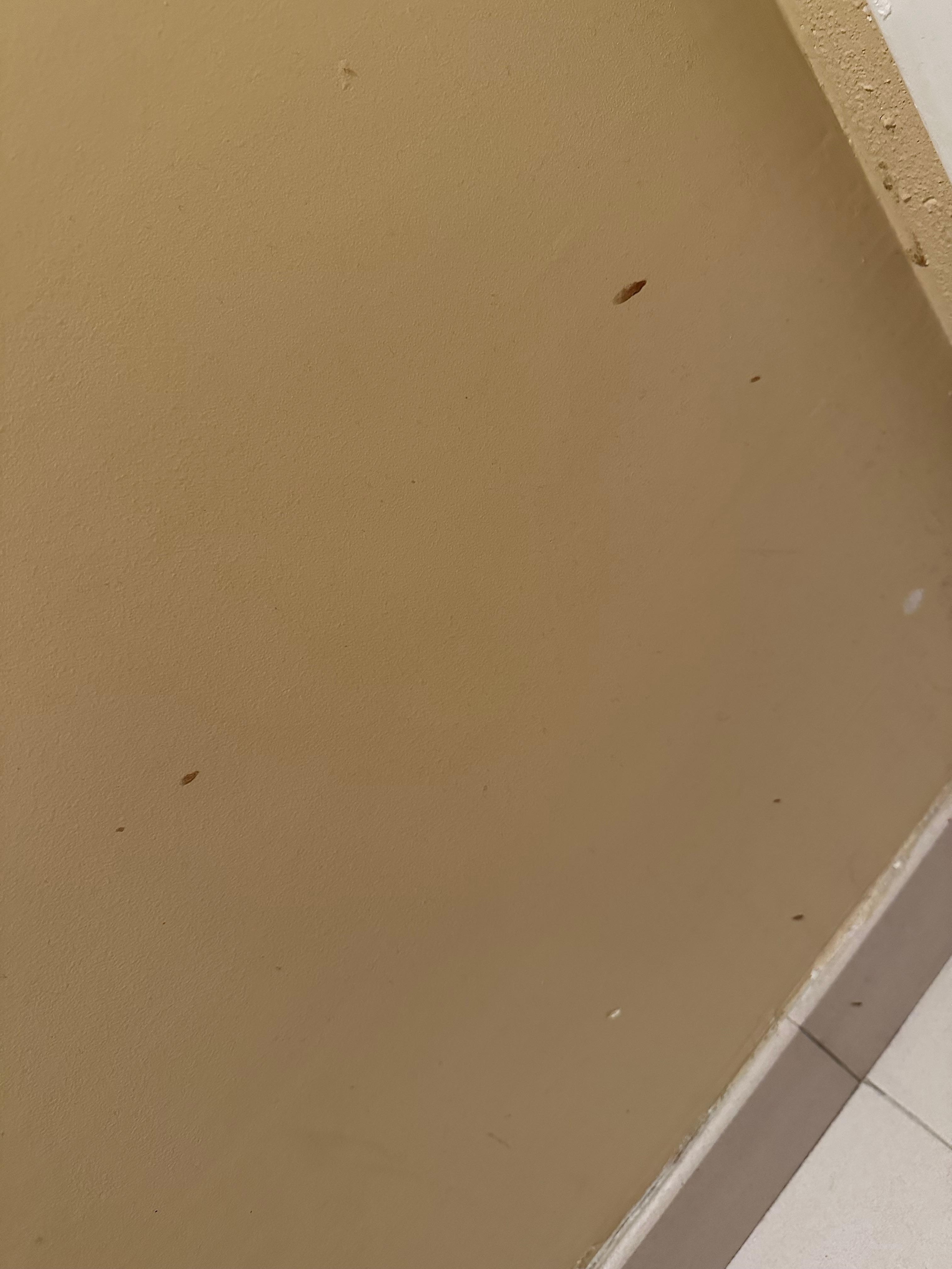 This was splatter on the wall behind the bathroom door.