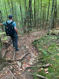 Trail to St Peters Dome