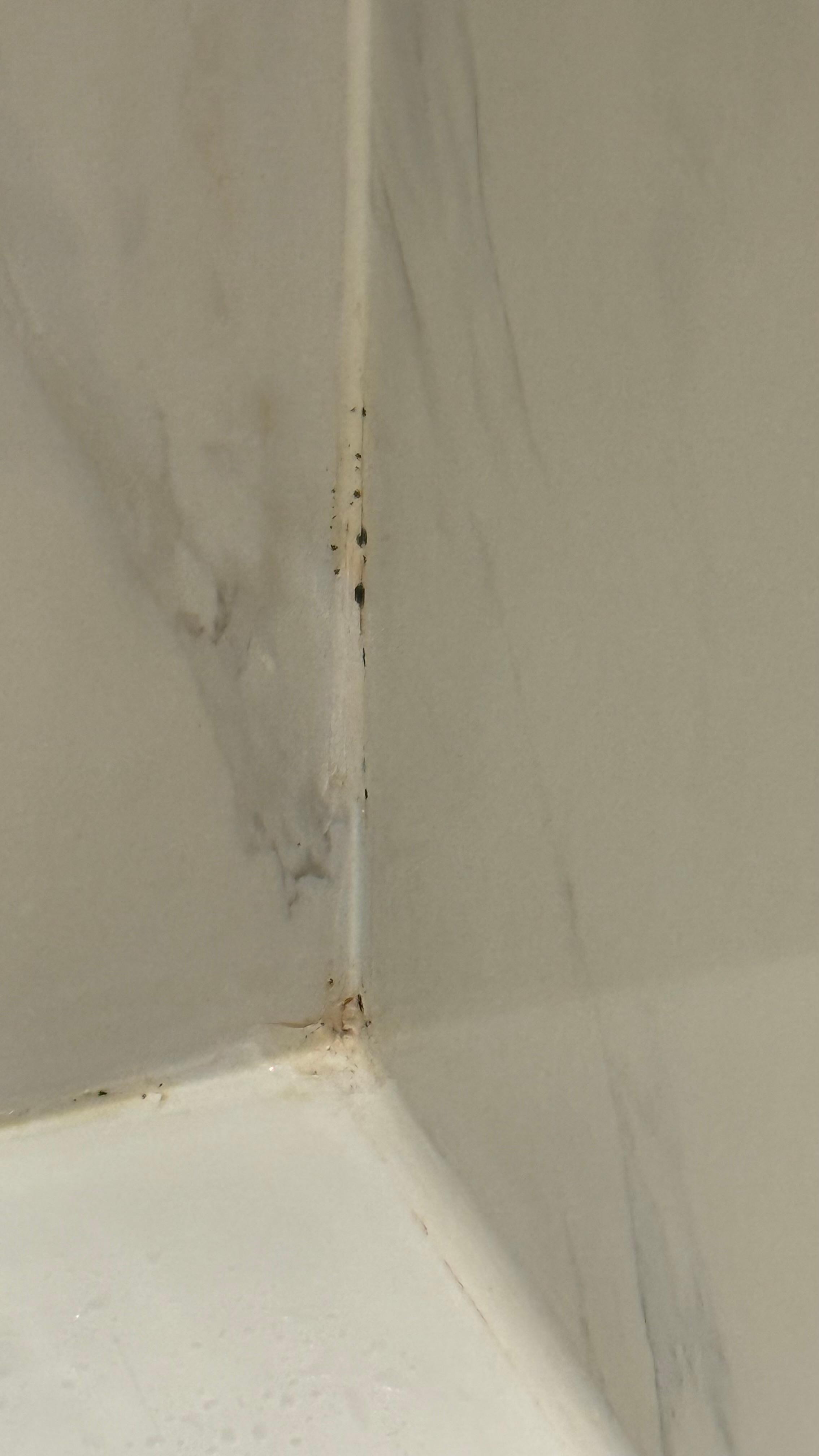 Maybe black mould